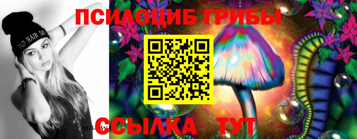 Псилоцибиновые грибы Psilocybine cubensis  сколько стоит  Вход с VPN  Новокубанск  Псилоцибиновые грибы ЛСД 