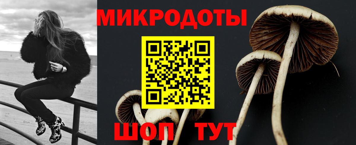 Псилоцибиновые грибы прущие грибы Новокубанск